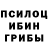 Псилоцибиновые грибы Cubensis SossKey YT