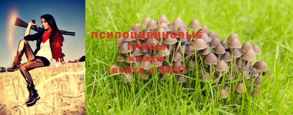 МДПВ Абаза