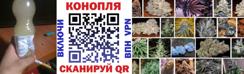 где продают наркотики  Иваново  Каннабис гибрид 